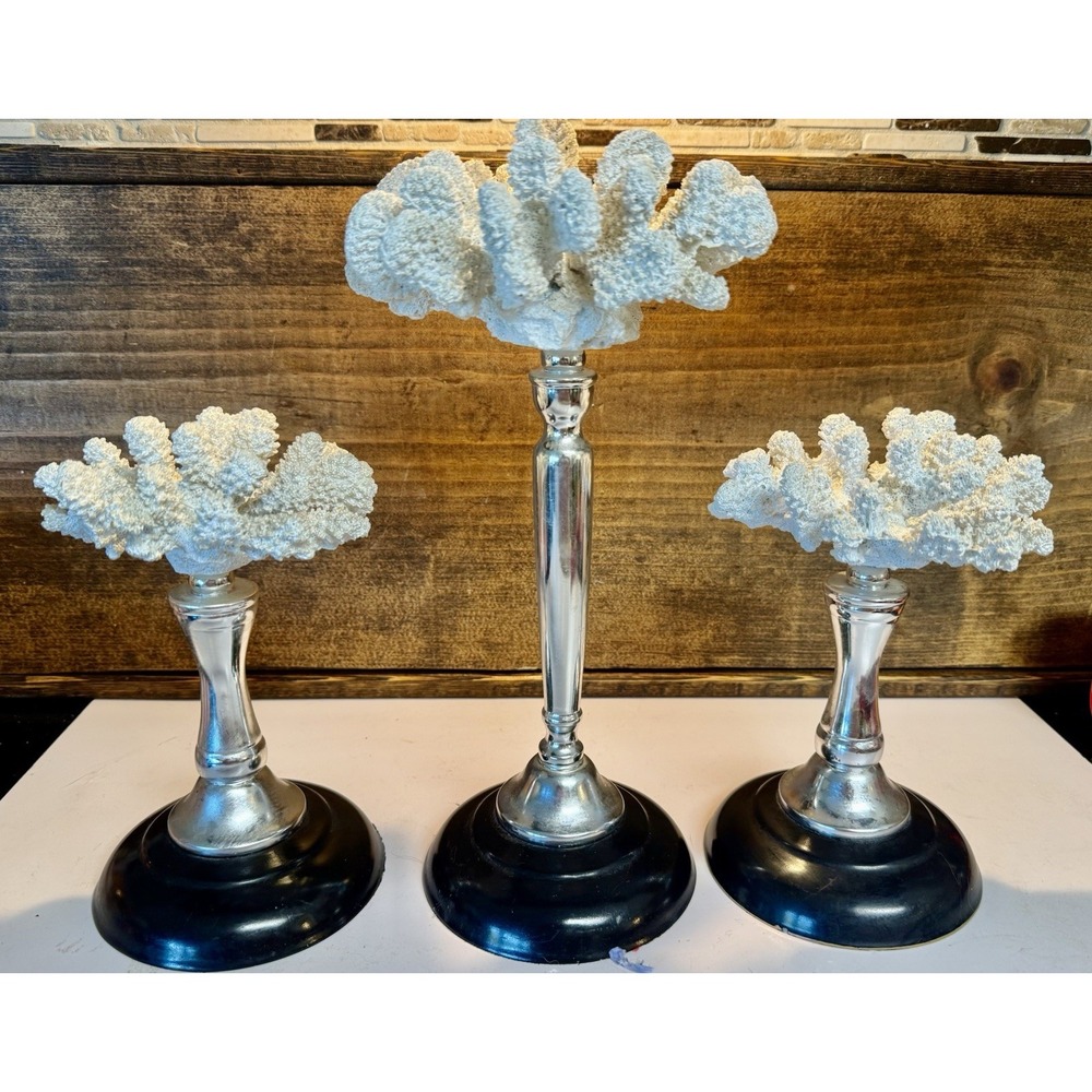 Vtg Set 3 Coral Sculptures White Silver Black Pedestal Coastal Decor ??Natural??